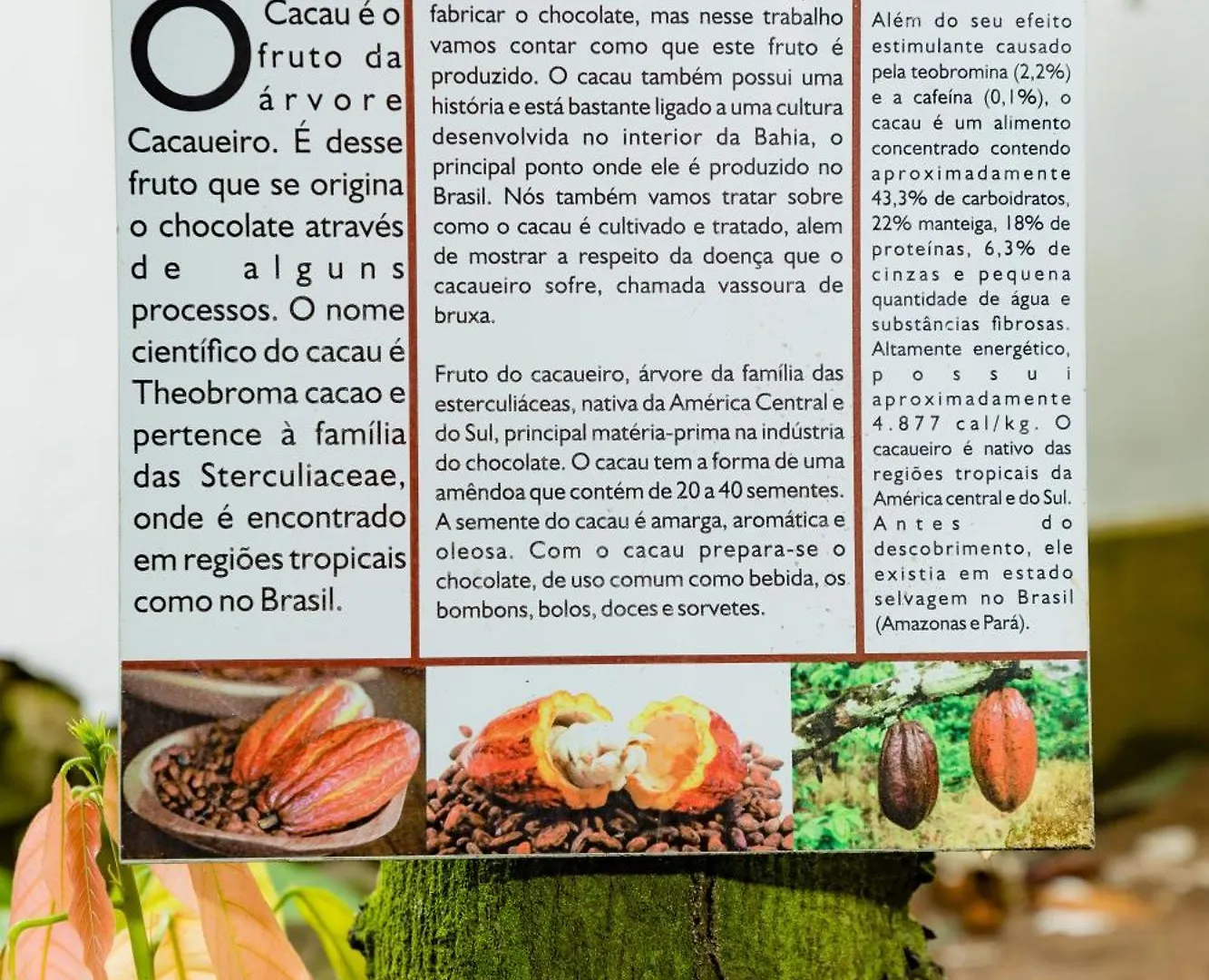 Hotel Casa Blanca Porto Seguro 3*,